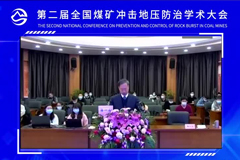王国法院士报告
