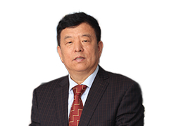 王国法【中国工程院院士，研究员】